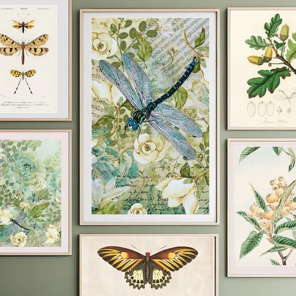 Vintage botanical gallery wall set with dragonfly, butterfly, and botanicals
